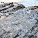 대봉장횟집 이미지