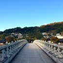 바오밥나무 민박 | 전주 가볼만한 곳 / 전주한옥마을 여행코스, 전주향교, 카페 전망, 오목대 산책