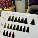 「봄디아 용산」 - 남영역 미용실 • 아베다 프리미엄 염색 • 양시 부원장님 후기:)