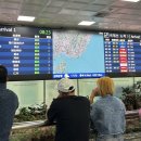 한소리 | 5월의 기록