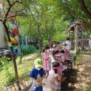 안양유치원 이미지