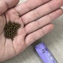 화성한의원 | 화성 반월동:) &lt;365유 한의원&gt; 비대면 다이어트 한약 처방 7일 찐 후기