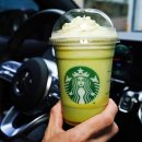 제주벅스코리아 이미지