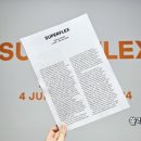서울수퍼 | 국제갤러리 수퍼플렉스(SUPERFLEX) 개인전 후기 삼청동 서울 무료 전시