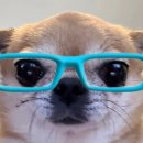 하르방한의원 | 사랑에도 산미가 있겠지