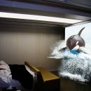 아바타모텔 이미지