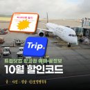 개꿀닷컴