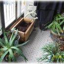 송월동장 이미지