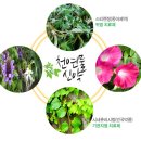 황순원 소설 ‘소나기’ 속에 300여건의 특허가 이미지