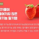 땅지기딸기쨈