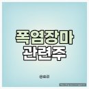 폭염 관련주 역대급 더위 ( feat. 태풍 에어리 )
