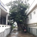 도순동-1 이미지