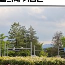 애플청과