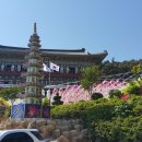 만리사 티스토리