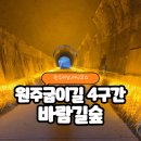 원주굽이길 4코스 치악산바람길 | 원주 러닝코스 추천 원주굽이길 4구간 바람길숲 주차 원주터널 최단코스
