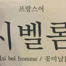 바다가 되고 싶어요 이미지