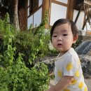 효자오형진지려 이미지