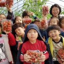 신관농장 이미지