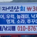 늘이네 이미지