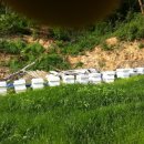 풍촌농장 이미지