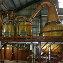 워시컴퍼니 | [시음회] 스페이스 컴퍼니 럼 RUM 온라인 세션 (feat. 워시팍)