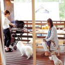 퍼스트펫 이미지