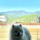 아라해물칼국수 이미지
