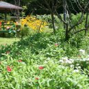 반딧불이펜션 이미지