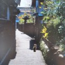 노스텔지어 이미지