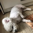 건하다 이미지