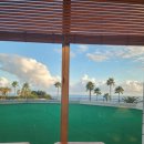 서귀포칼호텔사우나 | 별 5개 대만족이었던 제주 호텔 [서귀포칼호텔] 후기 (+공원이 대박적)