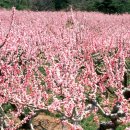 한국전력공사 부천지사 이미지