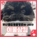 종합동물병원 이미지