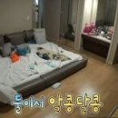 천안아산가구단지;홍대디자인가구