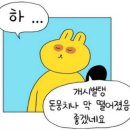 로컬악센트