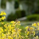 남해-298 이미지