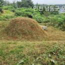 남동89 이미지