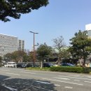 신사이용원 네이버블로그