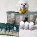 (주)펫풀 | 반려동물 수제간식 기력없는 아이 펫풀 민물장어 특식으로