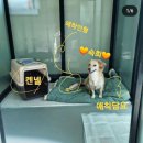 숙희네식당 이미지