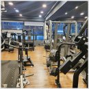 피트니스 킹덤 이미지