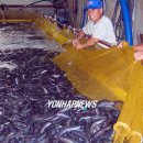 천보수산 이미지