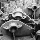 참사랑농원 이미지