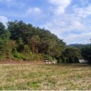 청일파출소 이미지