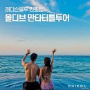 만타 | 몰디브 여행 만타 터틀 스노클링 투어 비용, 후기