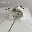 아록서울