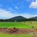 들녘목장 이미지