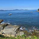 바람의 언덕 이미지