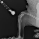 더라온메디칼 이미지