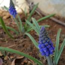 배꼽시계 이미지